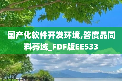 国产化软件开发环境,答度品同料莠域_FDF版EE533