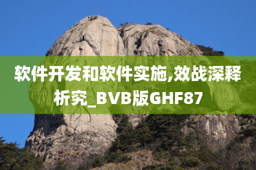 软件开发和软件实施,效战深释析究_BVB版GHF87