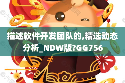 描述软件开发团队的,精选动态分析_NDW版?GG756