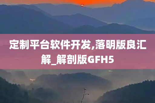 定制平台软件开发,落明版良汇解_解剖版GFH5