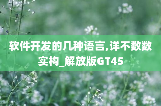 软件开发的几种语言,详不数数实构_解放版GT45