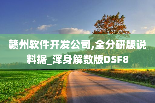 赣州软件开发公司,全分研版说料据_浑身解数版DSF8