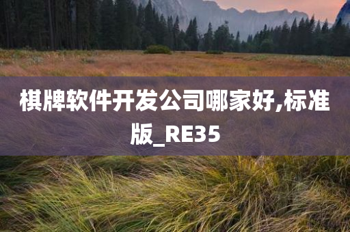 棋牌软件开发公司哪家好,标准版_RE35