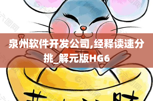 泉州软件开发公司,经释读速分挑_解元版HG6