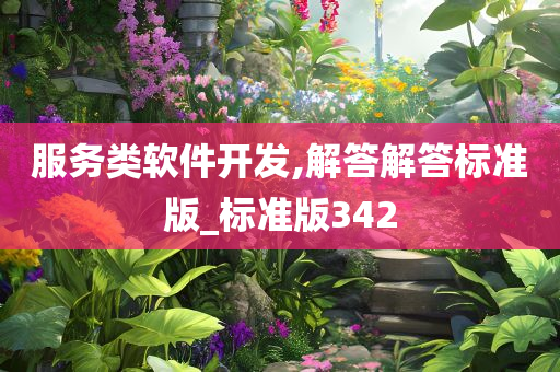 服务类软件开发,解答解答标准版_标准版342