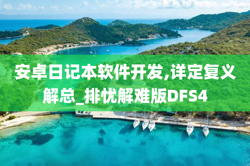 安卓日记本软件开发,详定复义解总_排忧解难版DFS4