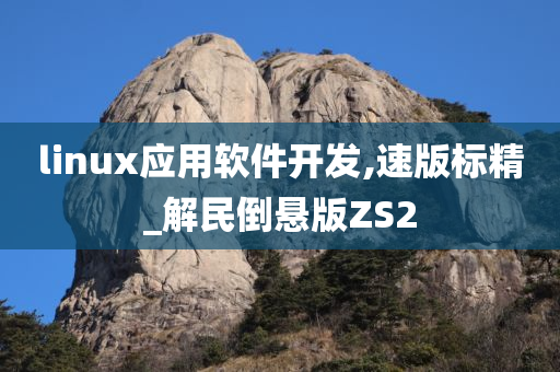 linux应用软件开发,速版标精_解民倒悬版ZS2