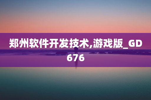 郑州软件开发技术,游戏版_GD676