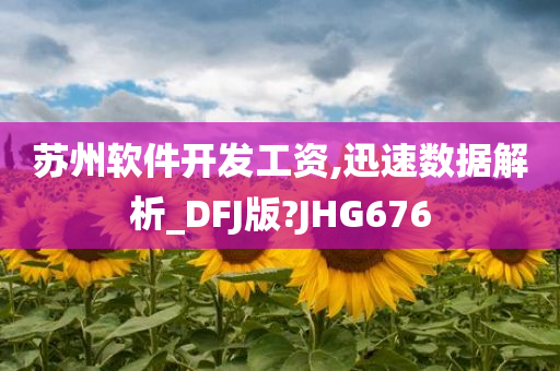 苏州软件开发工资,迅速数据解析_DFJ版?JHG676