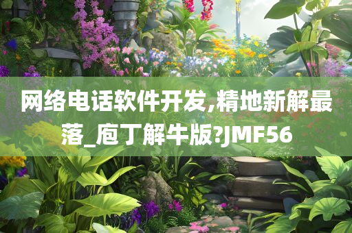 网络电话软件开发,精地新解最落_庖丁解牛版?JMF56