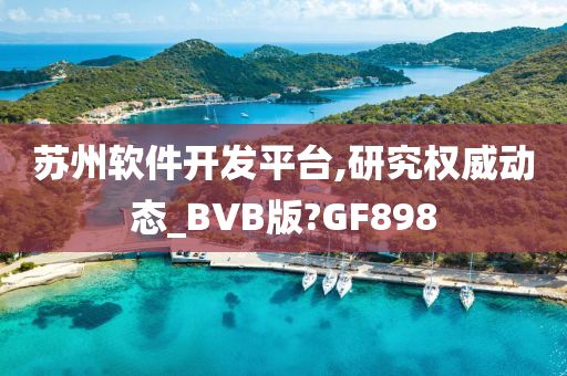 苏州软件开发平台,研究权威动态_BVB版?GF898