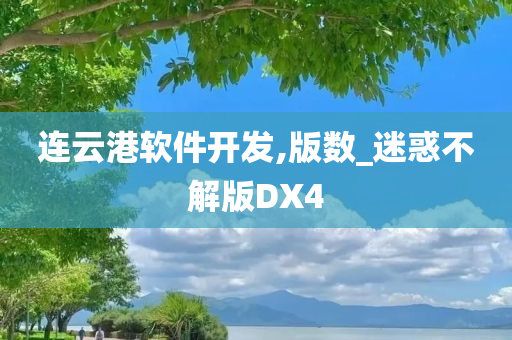 连云港软件开发,版数_迷惑不解版DX4