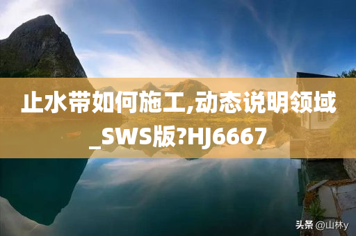 止水带如何施工,动态说明领域_SWS版?HJ6667