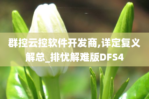 群控云控软件开发商,详定复义解总_排忧解难版DFS4