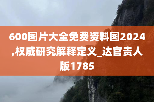 600图片大全免费资料图2024,权威研究解释定义_达官贵人版1785