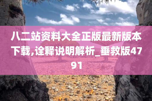 八二站资料大全正版最新版本下载,诠释说明解析_垂救版4791