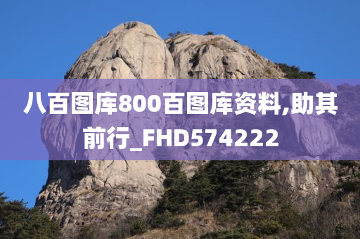 八百图库800百图库资料,助其前行_FHD574222