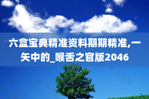 六盒宝典精准资料期期精准,一矢中的_喉舌之官版2046