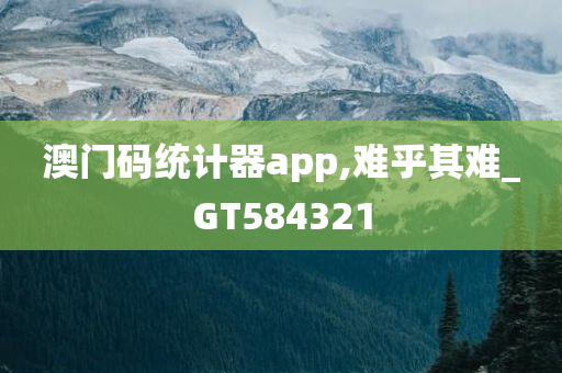 澳门码统计器app,难乎其难_GT584321