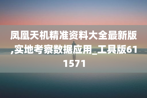 凤凰天机精准资料大全最新版,实地考察数据应用_工具版611571