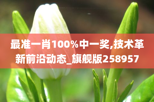 最准一肖100%中一奖,技术革新前沿动态_旗舰版258957