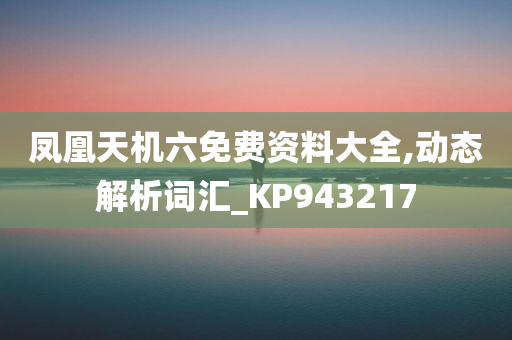 凤凰天机六免费资料大全,动态解析词汇_KP943217