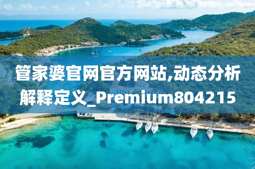 管家婆官网官方网站,动态分析解释定义_Premium804215