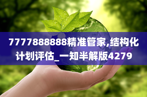 7777888888精准管家,结构化计划评估_一知半解版4279