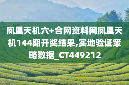 凤凰天机六+合网资料网凤凰天机144期开奖结果,实地验证策略数据_CT449212