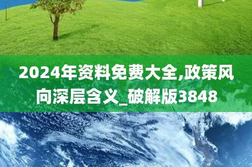 2024年资料免费大全,政策风向深层含义_破解版3848