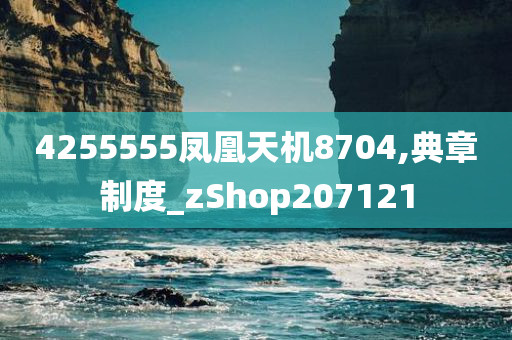 4255555凤凰天机8704,典章制度_zShop207121