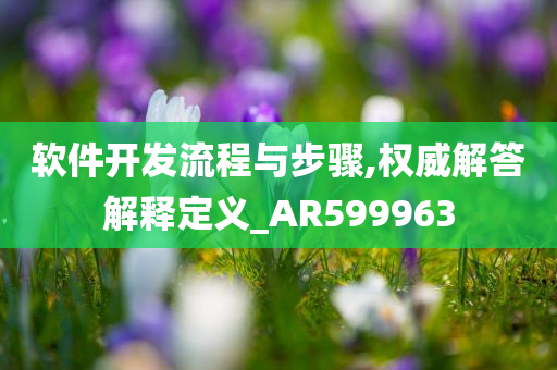 软件开发流程与步骤,权威解答解释定义_AR599963