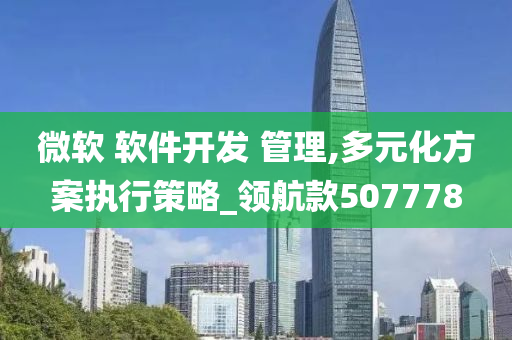 微软 软件开发 管理,多元化方案执行策略_领航款507778