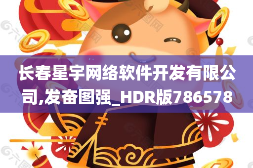 长春星宇网络软件开发有限公司,发奋图强_HDR版786578