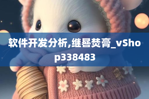 软件开发分析,继晷焚膏_vShop338483