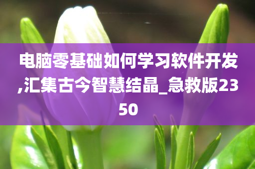 电脑零基础如何学习软件开发,汇集古今智慧结晶_急救版2350