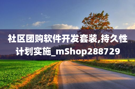 社区团购软件开发套装,持久性计划实施_mShop288729