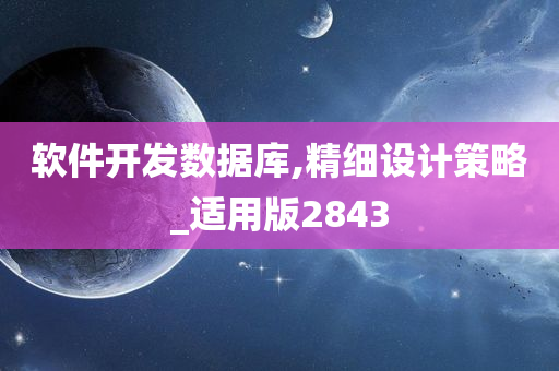 软件开发数据库,精细设计策略_适用版2843