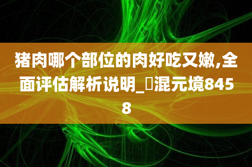 猪肉哪个部位的肉好吃又嫩,全面评估解析说明_‌混元境8458