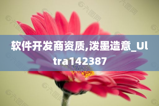 软件开发商资质,泼墨造意_Ultra142387