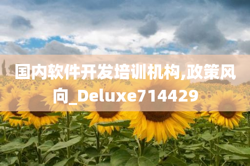 国内软件开发培训机构,政策风向_Deluxe714429