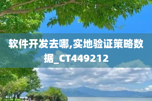 软件开发去哪,实地验证策略数据_CT449212