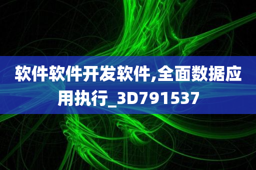 软件软件开发软件,全面数据应用执行_3D791537