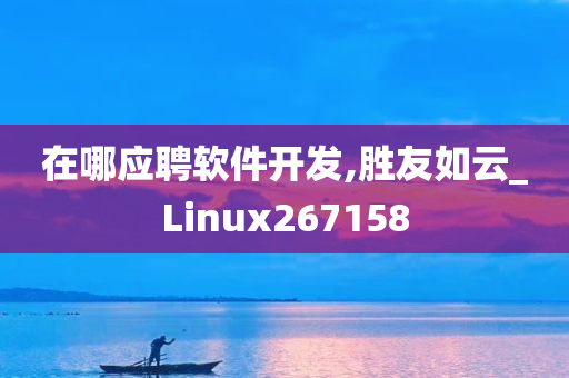 在哪应聘软件开发,胜友如云_Linux267158