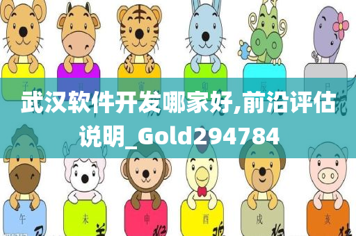 武汉软件开发哪家好,前沿评估说明_Gold294784