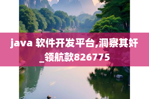 java 软件开发平台,洞察其奸_领航款826775