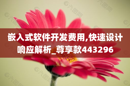 嵌入式软件开发费用,快速设计响应解析_尊享款443296