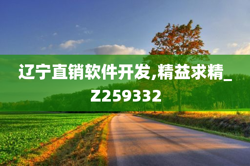 辽宁直销软件开发,精益求精_Z259332