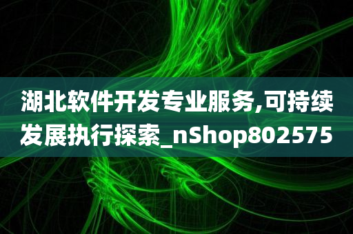 湖北软件开发专业服务,可持续发展执行探索_nShop802575