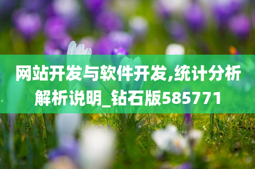 网站开发与软件开发,统计分析解析说明_钻石版585771